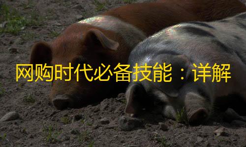 繁星直装v1和平精英网购时代必备技能
�
：详解邮政快递单号多种查询方法